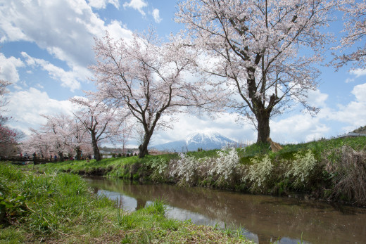 947940 (a): :2048x1365
